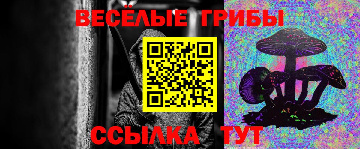 Галлюциногенные грибы Cubensis Тында